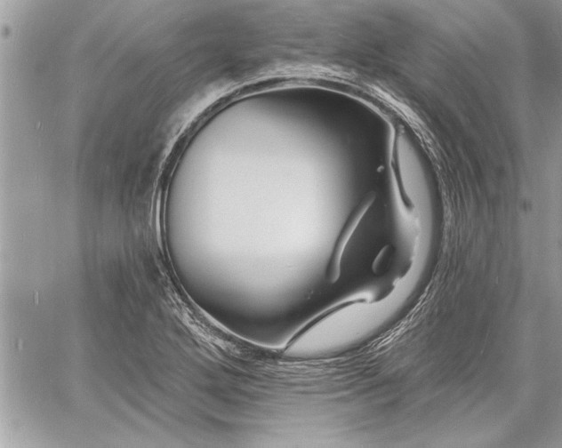 X0000060741272200511141123