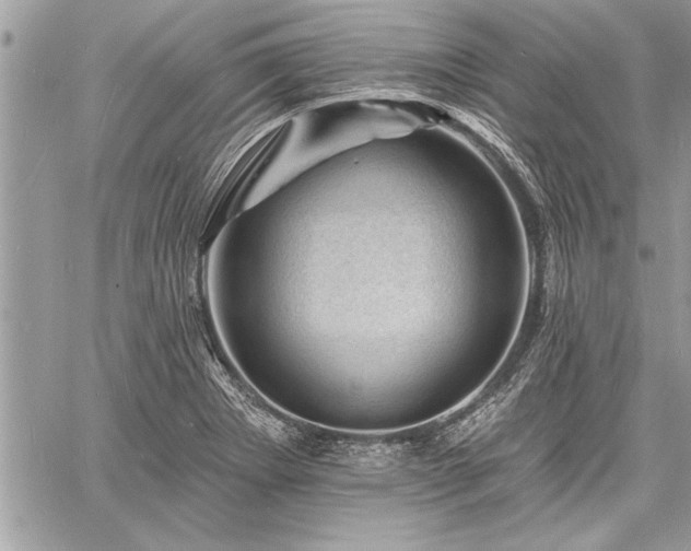 X0000060741273200511141123