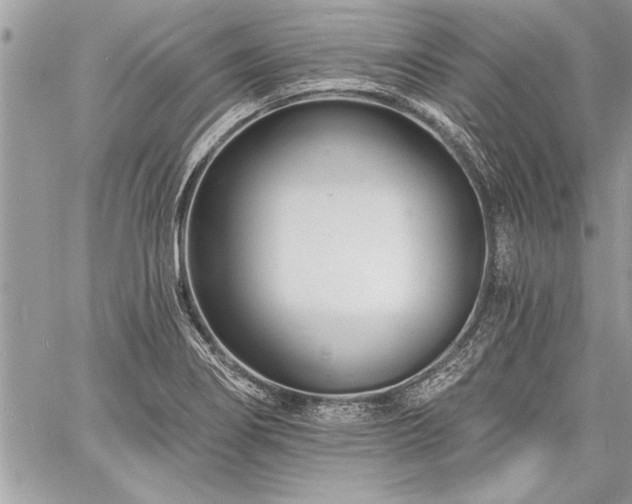 X0000060741274200511141123