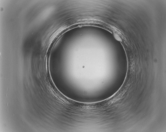 X0000060741275200511141123