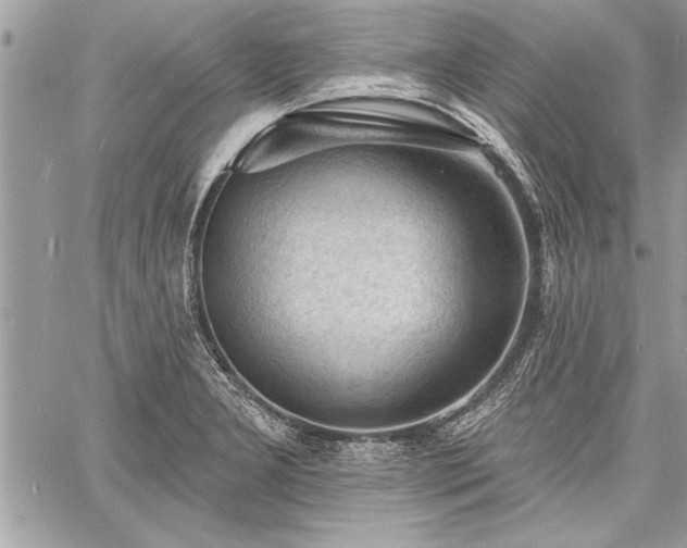 X0000060741277200511141123