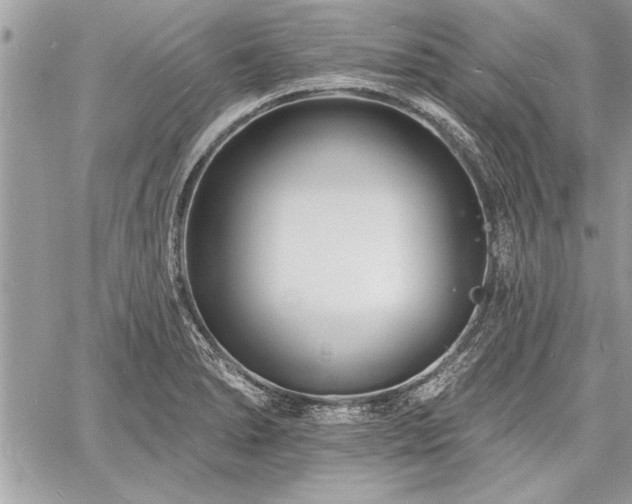 X0000060741278200511141123