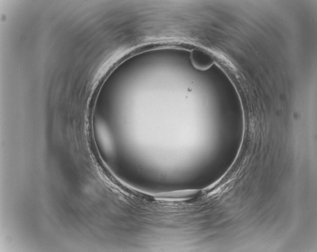 X0000060741279200511141123