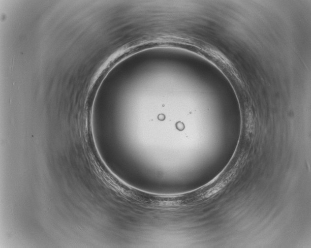 X0000060741280200511141123