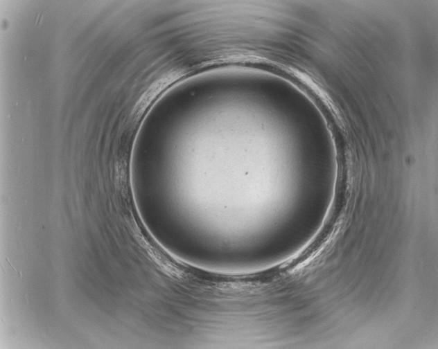 X0000060741281200511141123