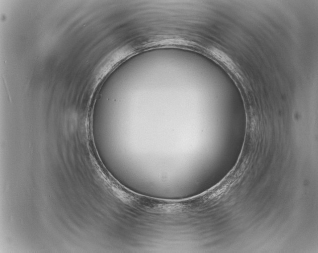 X0000060741282200511141123