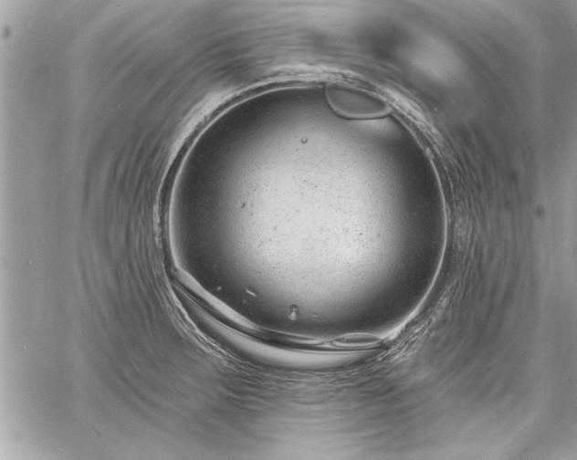 X0000060741283200511141123