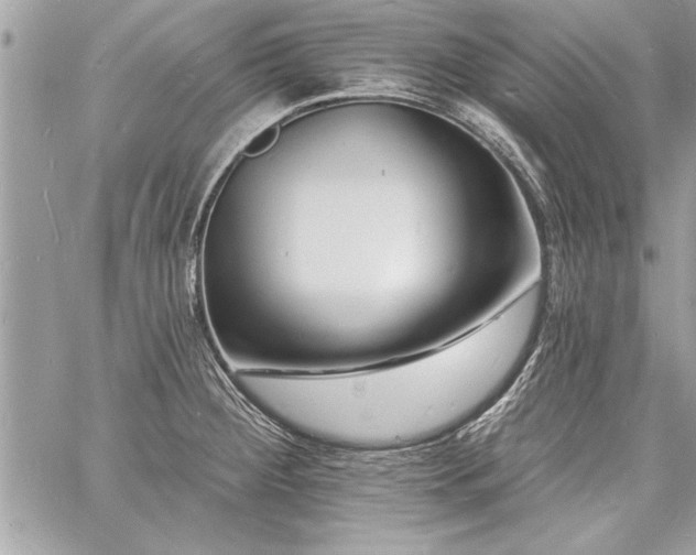 X0000060741284200511141123