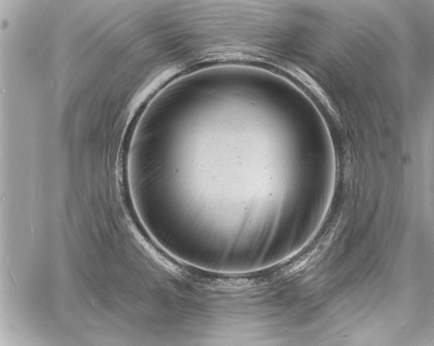 X0000060741285200511141123