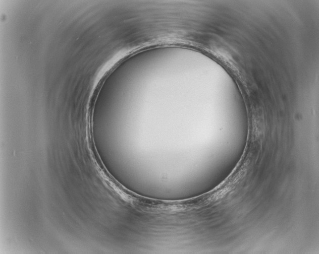 X0000060741286200511141123