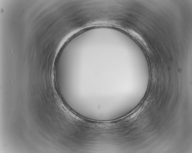 X0000060741288200511141123