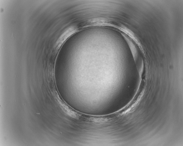 X0000060741289200511141123