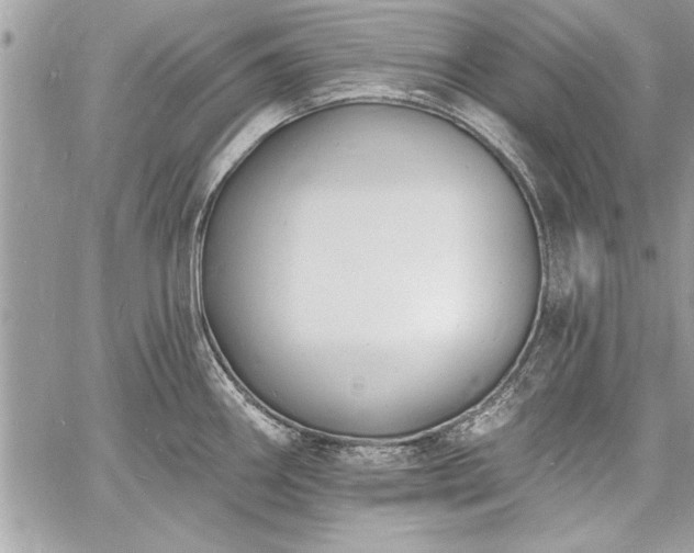 X0000060741290200511141123