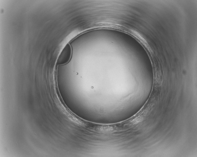 X0000060741291200511141123