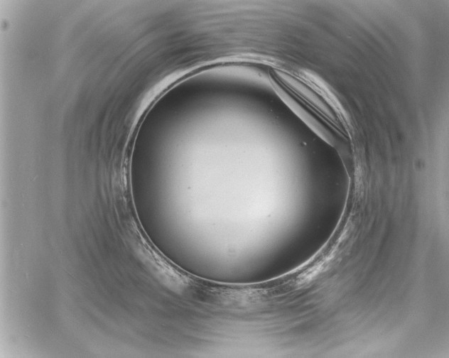 X0000060741292200511141123