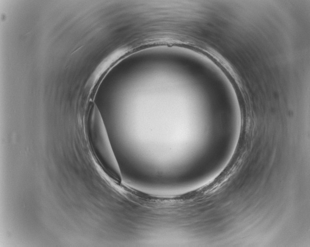 X0000060741293200511141123