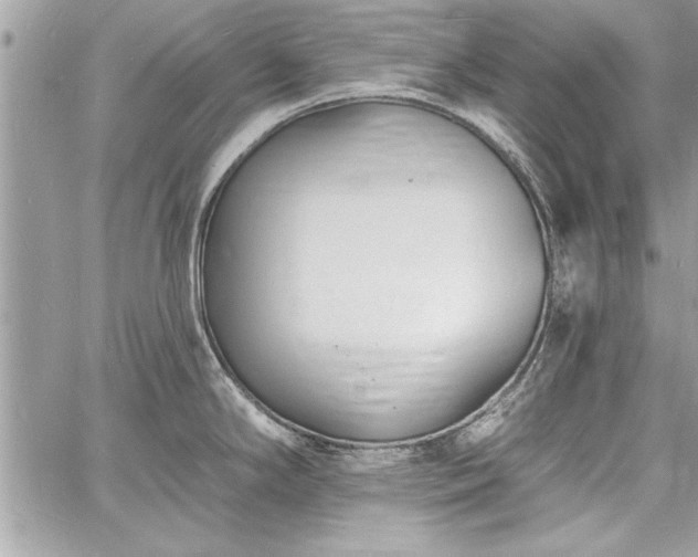 X0000060741294200511141123