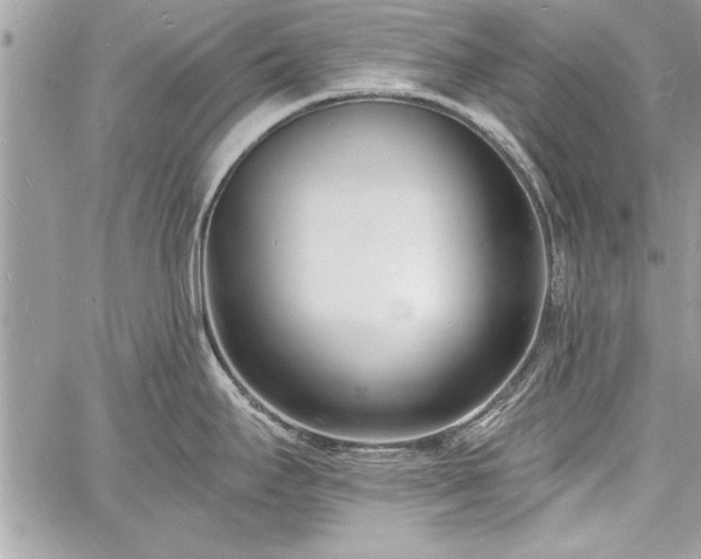 X0000060741295200511141123