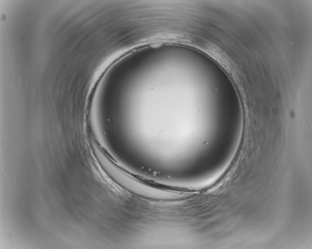 X0000060741296200511141123