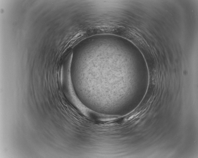 X0000060741298200511141122