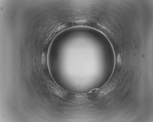 X0000060741299200511141122