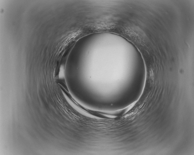 X0000060741300200511141122