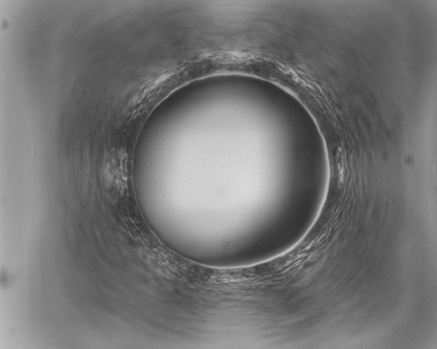 X0000060741301200511141122