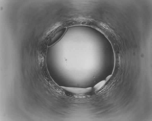 X0000060741302200511141122