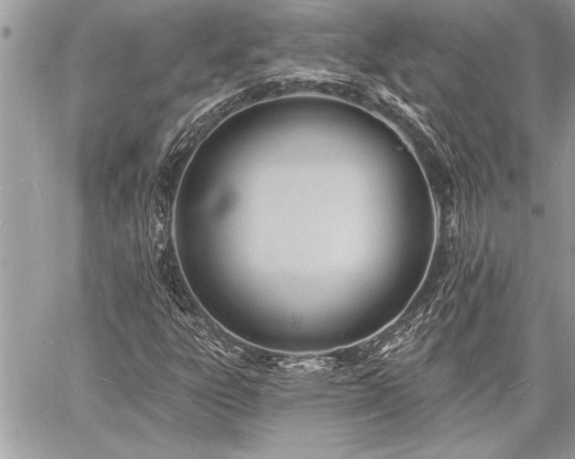 X0000060741303200511141122