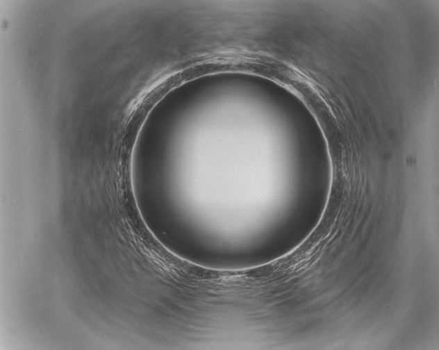 X0000060741304200511141122