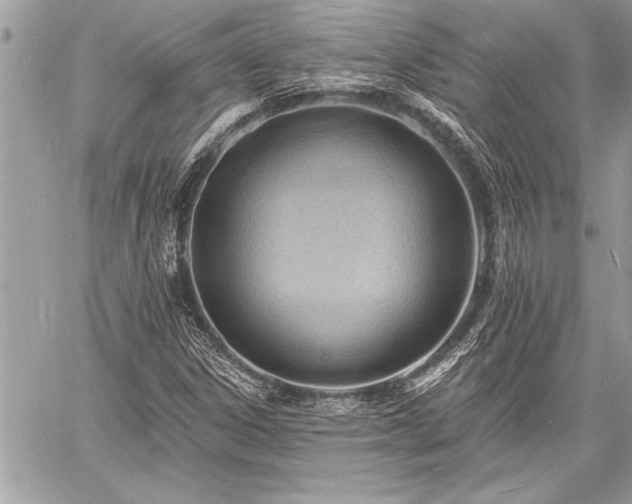 X0000060741306200511141122