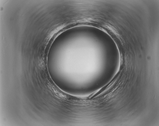 X0000060741308200511141122