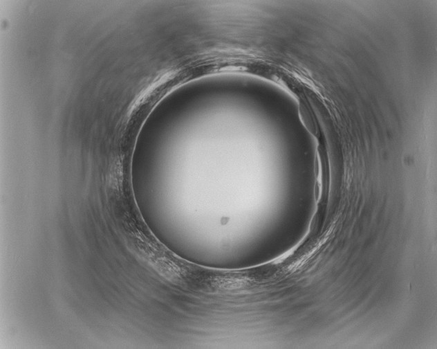 X0000060741309200511141122