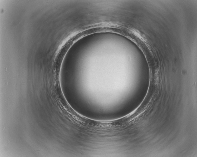 X0000060741310200511141122