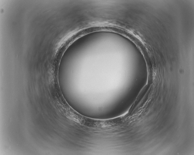 X0000060741311200511141122