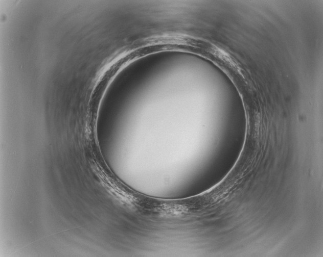 X0000060741312200511141122