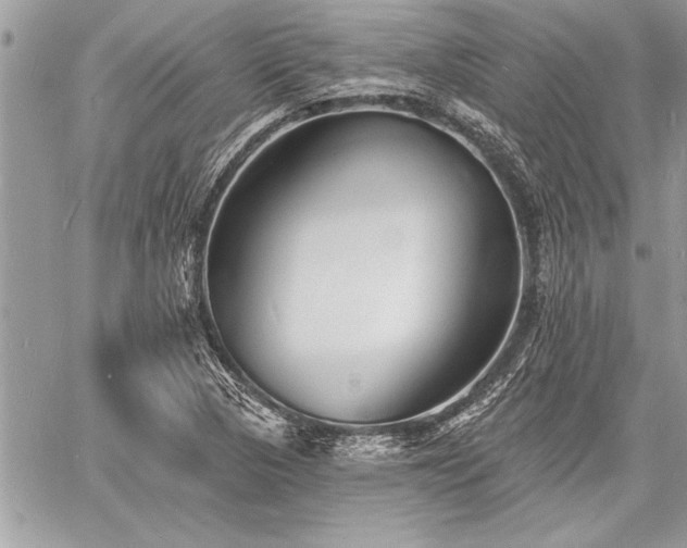 X0000060741313200511141122