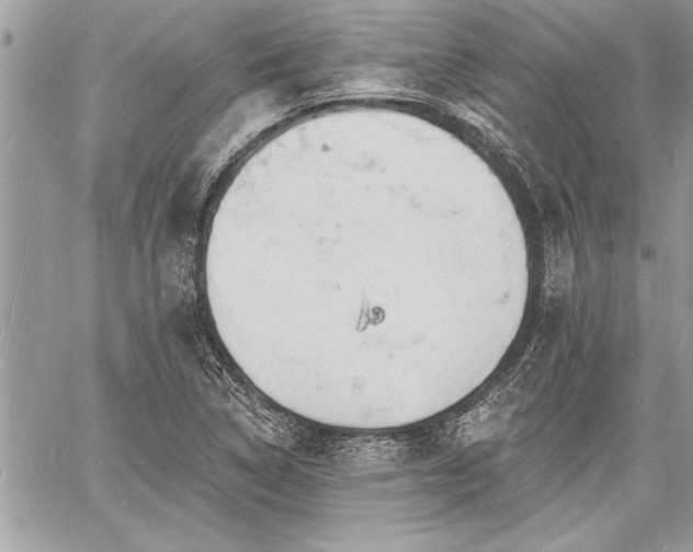 X0000060741314200511141123