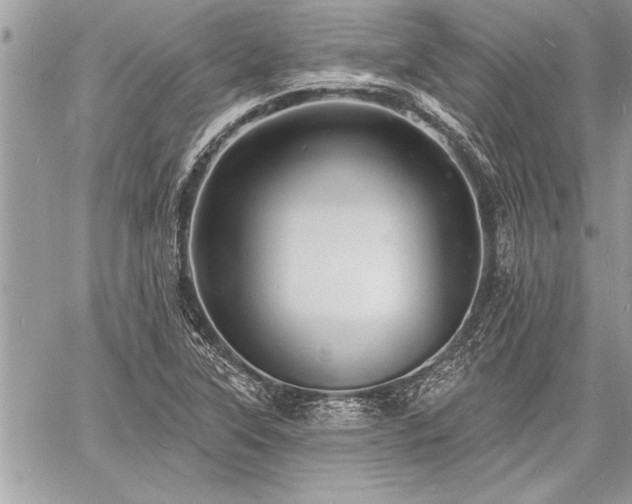 X0000060741315200511141123