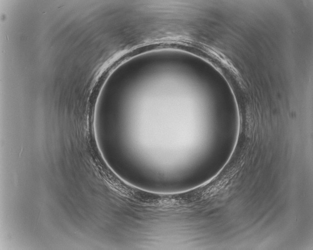 X0000060741316200511141123