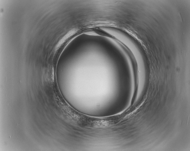 X0000060741317200511141123