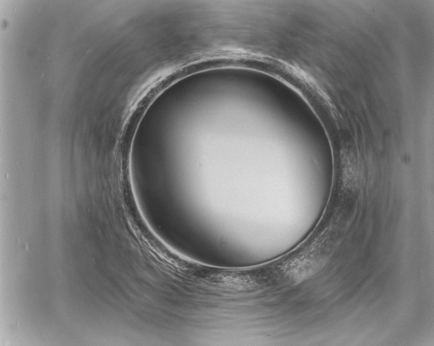 X0000060741318200511141123