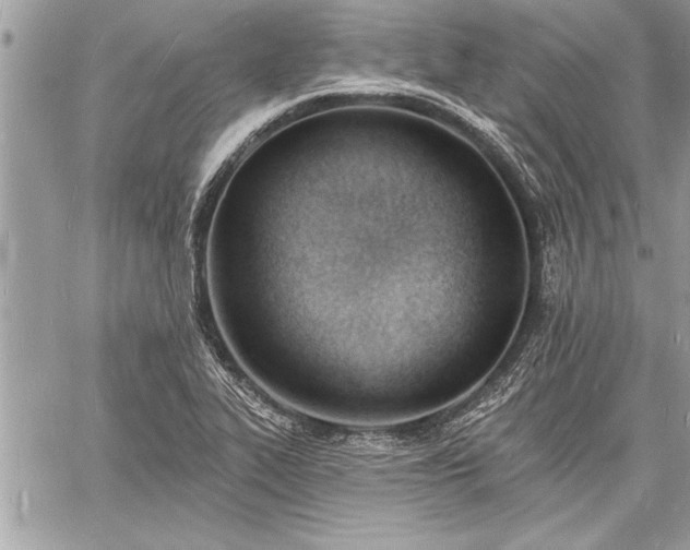 X0000060741319200511141123