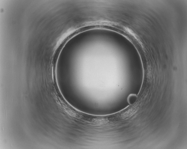 X0000060741320200511141123