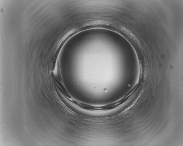 X0000060741321200511141123