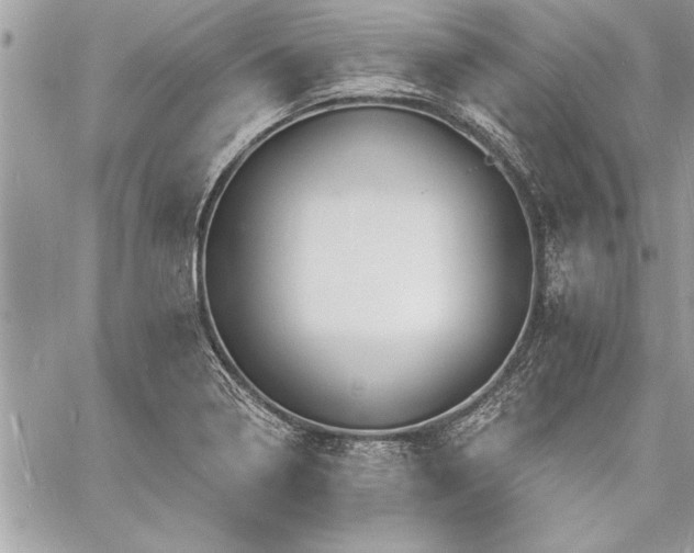 X0000060741322200511141123