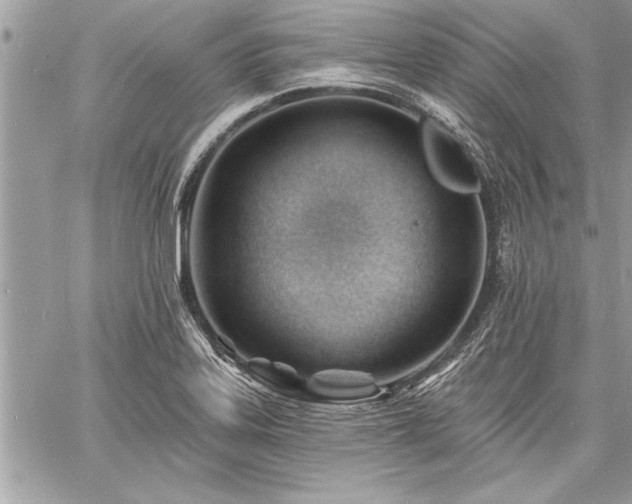 X0000060741323200511141123