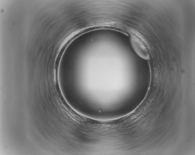 X0000060741324200511141123