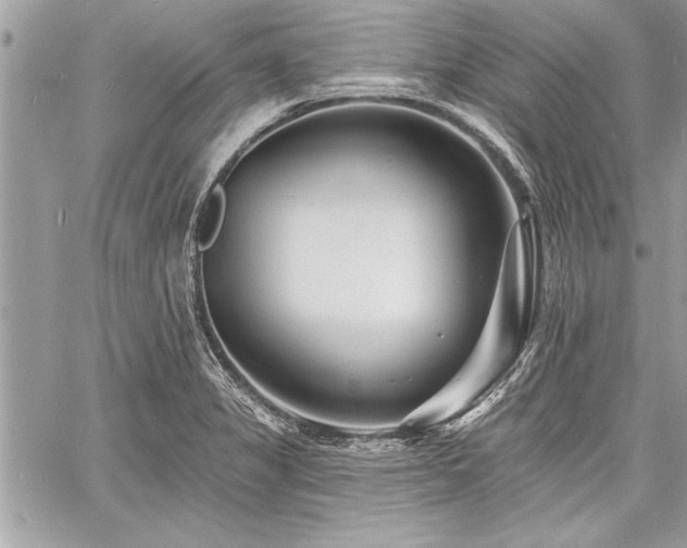 X0000060741325200511141123