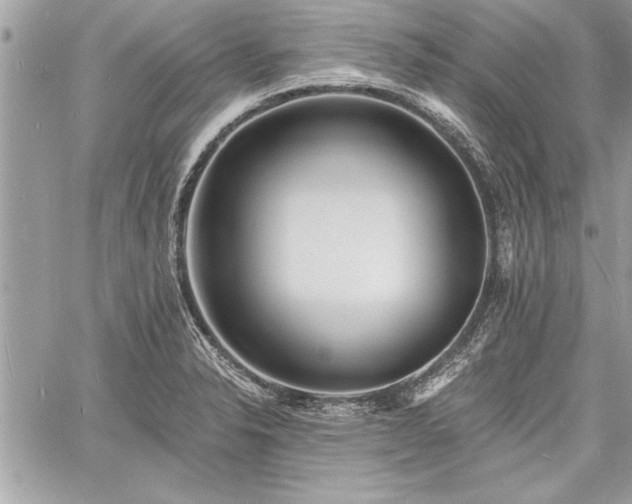 X0000060741326200511141123